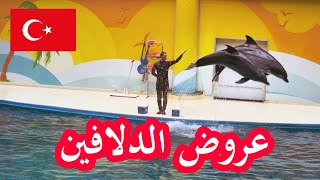 عرض الدلافين في اسطنبول دولفيناريوم  Dolphinarium istanbul
