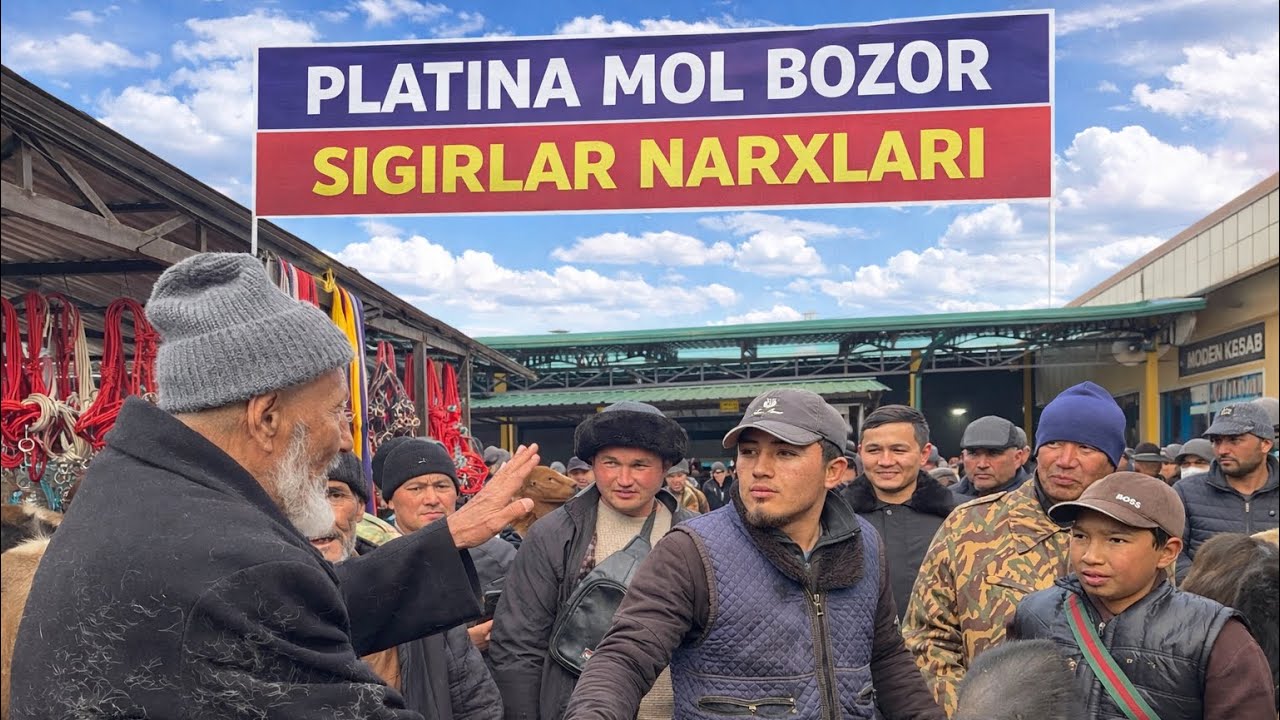 PLATINA MOL BOZOR SIGIRLAR NARXLARI DODAM XAQIQATNI GAPIRDILA 25 yil QAMALDIM DEB