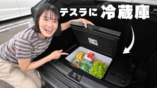 Tesla] 1 Month With the Perfect Car Fridge Pros, Cons, Heat
