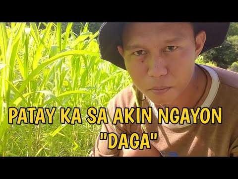 Video: Paano Patayin Ang Magnifier