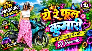 Nagpuri Dj Song 2026 || New Nagpuri Remix Song || Nagpuri video Song || Dj domnik Nagpuri Song