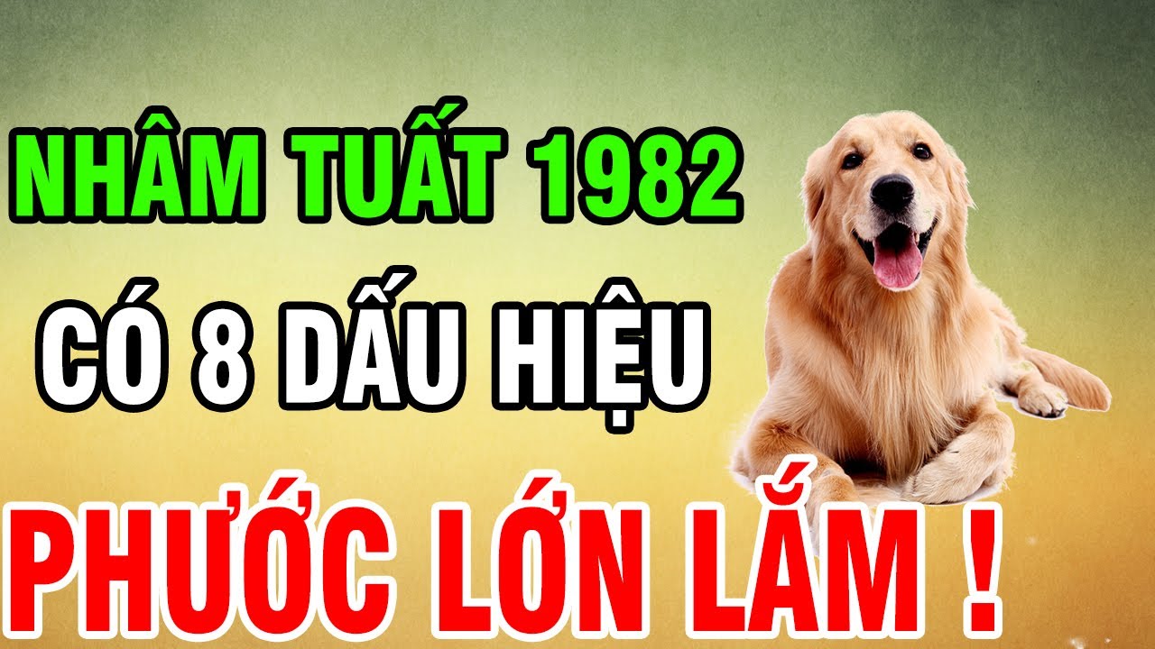 Tuổi Nhâm Tuất 1982 - Có 8 Dấu Hiệu Này Trên Thân, Phước Lớn Lắm, Khổ Mấy Cũng Qua, Về Già An Nhàn!