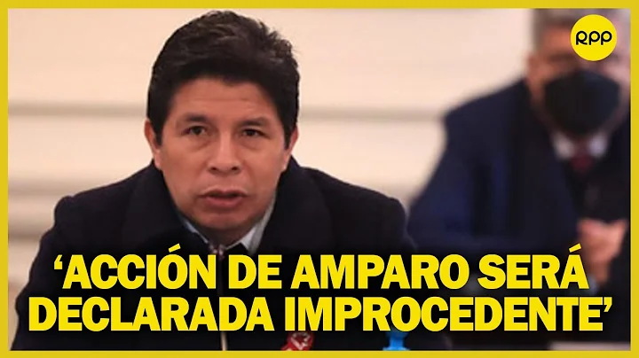 Accin de amparo para que no investiguen a Pedro Ca...
