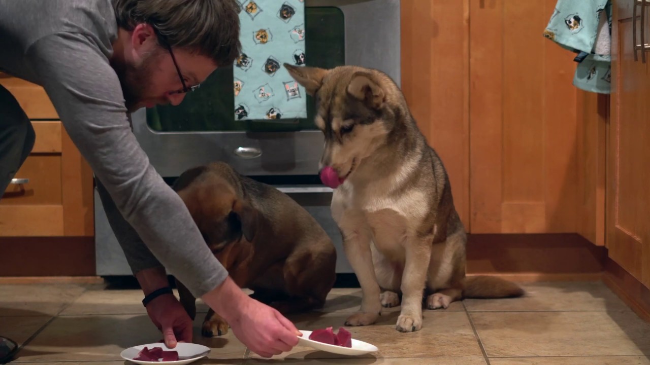 How to Raw Feed Your Dog with Store Bought Beef in ASMR - YouTube