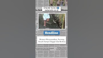 BOCAH HAMPIR DIGIGIT ULAR BERBISA KETIKA BERMAIN