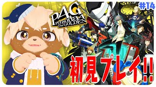 【ペルソナ4ザ・ゴールデン】真犯人を追いかける！！【ネタバレ注意】#14