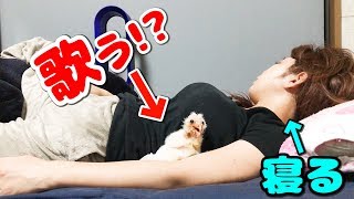 お姉さんが寝ている横でフクロウのヒナが歌う！！【メンフクロウ】