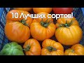 ЛУЧШИЕ ТОМАТЫ 2019 ГОДА! ОБЗОР ТОМАТОВ В МОЕЙ ТЕПЛИЦЕ!