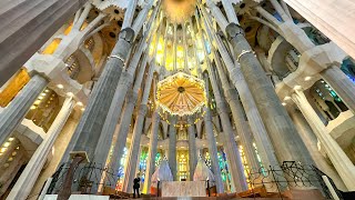 The Sagrada Familia Symbol of Barcellona Of genius Antonio Gaudi Nature in a basilica