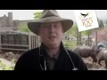 Edinburgh Zoo Rhino Training - RZSS Veterinary Team - Love Your Zoo Week 2013