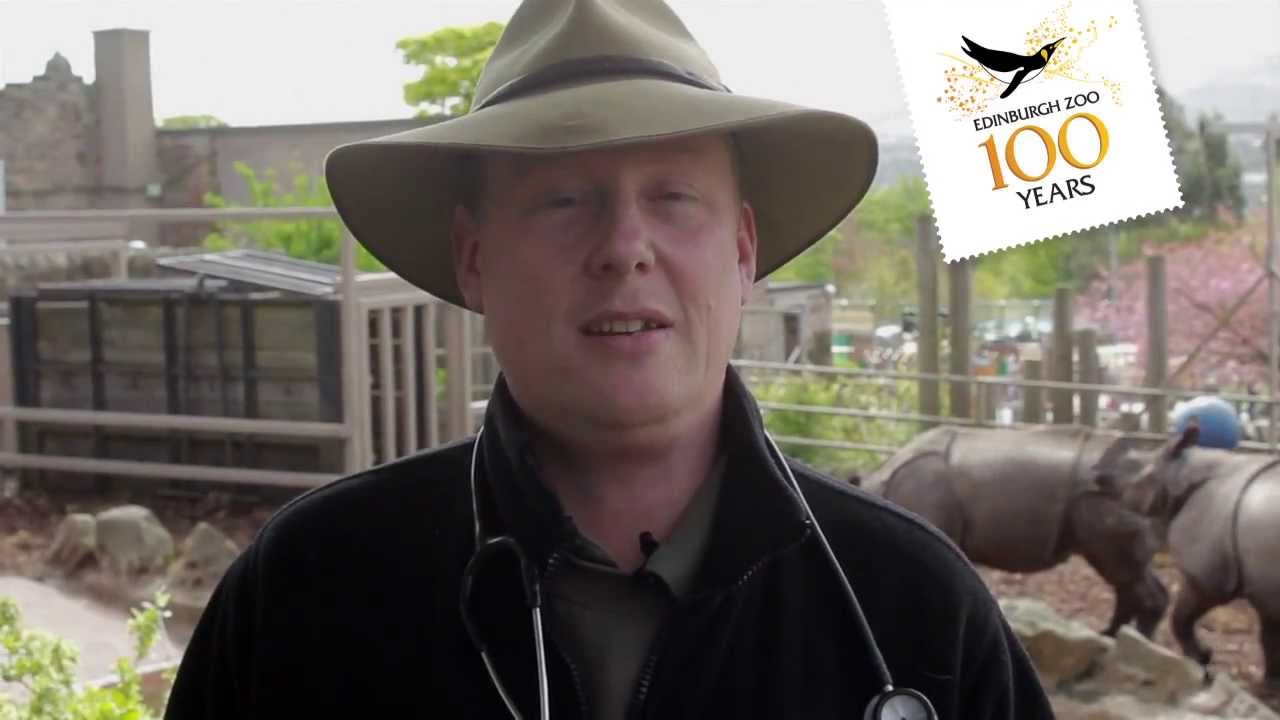 Edinburgh Zoo Rhino Training - RZSS Veterinary Team - Love Your Zoo Week 2013
