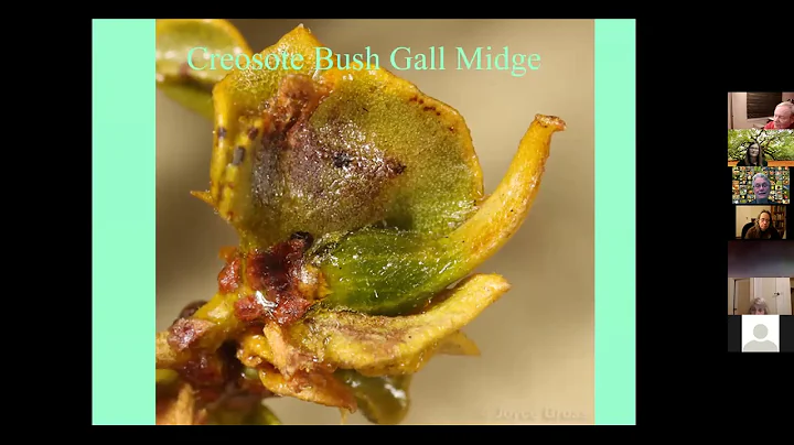 Gall Talk with Kathy Schick and Joyce Gross, Part 1
