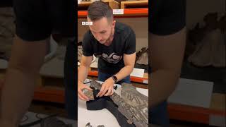 Sword Dragon: Fossil of prehistoric marine reptile that once ruled the oceans found in UK - BBC URDU