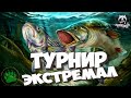 5 Премиумов  разыграю на турнире "ЭКСТРЕМАЛ" Русская Рыбалка 4 !СТРИМ Русского Медведя