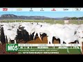 LOTE M05