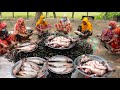 70 KG 32 Pieces Carp Fish & 100 KG Brinjal Curry Cooking By Village Lady For 300+ People