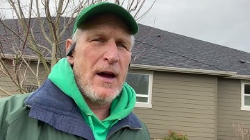 Formative or Structural Pruning of Young Trees (Part 2)