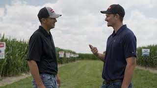 The Data Game | CROPLAN® Seed
