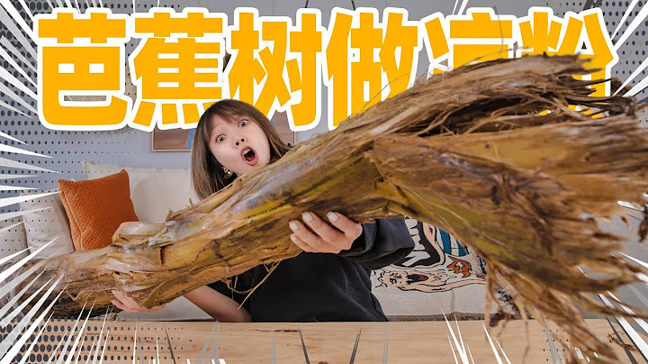 花400元买一整棵芭蕉树！磨粉做凉粉！能好吃吗？  |  Banana