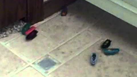 47 hexbug nano swarm