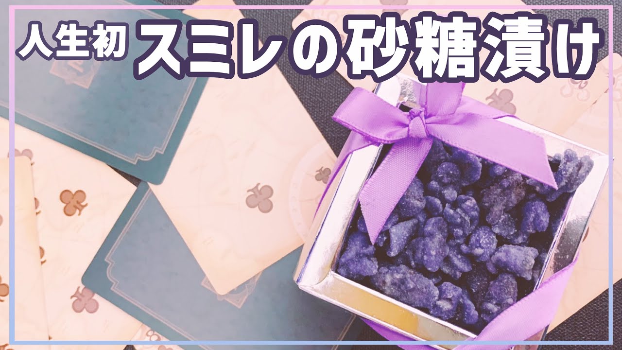 トレイ先輩が好きなスミレの砂糖漬けを初めて食べてみる 実写 Youtube