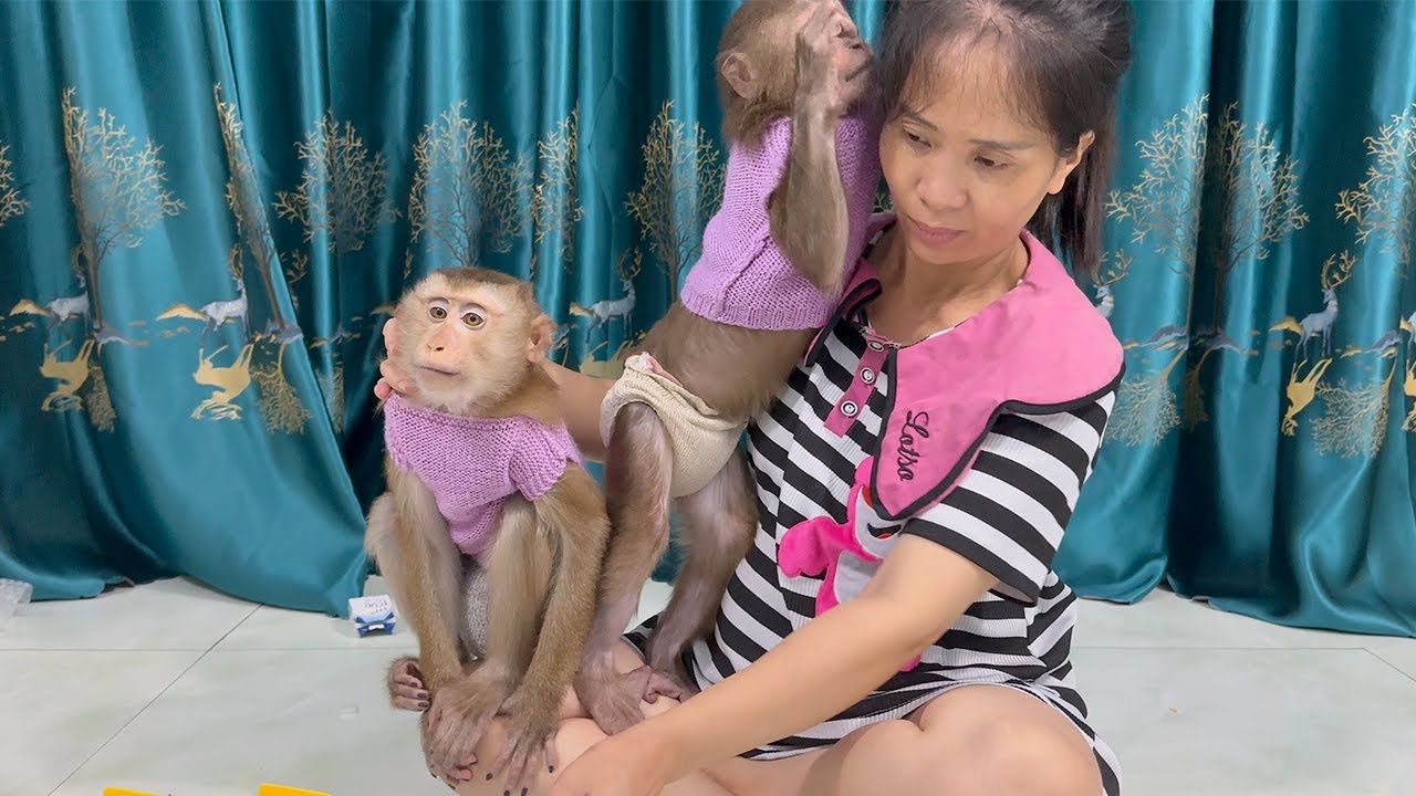big love from monkey with mom is the best