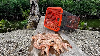 Shrimping With Traps | The New Method | CCC