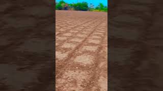 #agriculture @cotton field