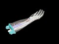 Design Video: Adult Arm (Advanced) for X-Ray CT, US, MRI