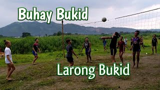 Laro at buhay Bukid screenshot 1