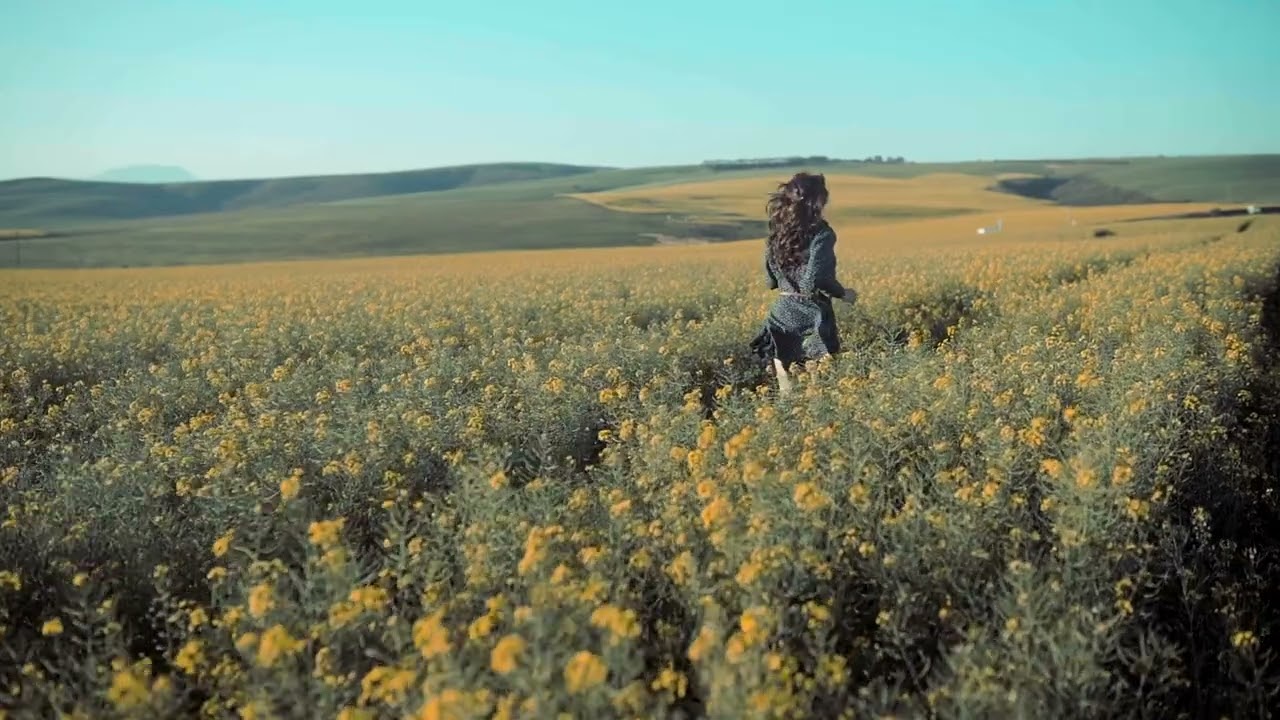 Вас випадково я зустрів