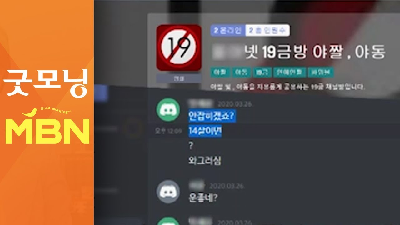 [단독] 디스코드 채팅방 들어가보니…불법 난무하는데 
