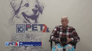 Pet Connection Lilly 12-2-25