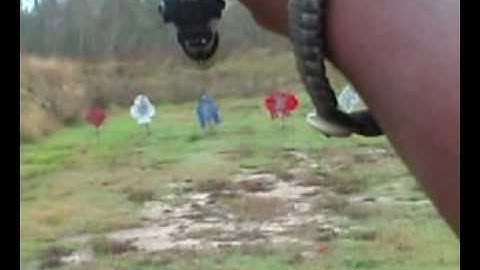 Sight alignment & trigger control
