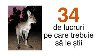 34 de lucruri pe care trebuie să le știi