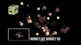 Monkey See Monkey Do 200g Firework from World Class - 16 Shots Colorful Chrysanthemum Effects