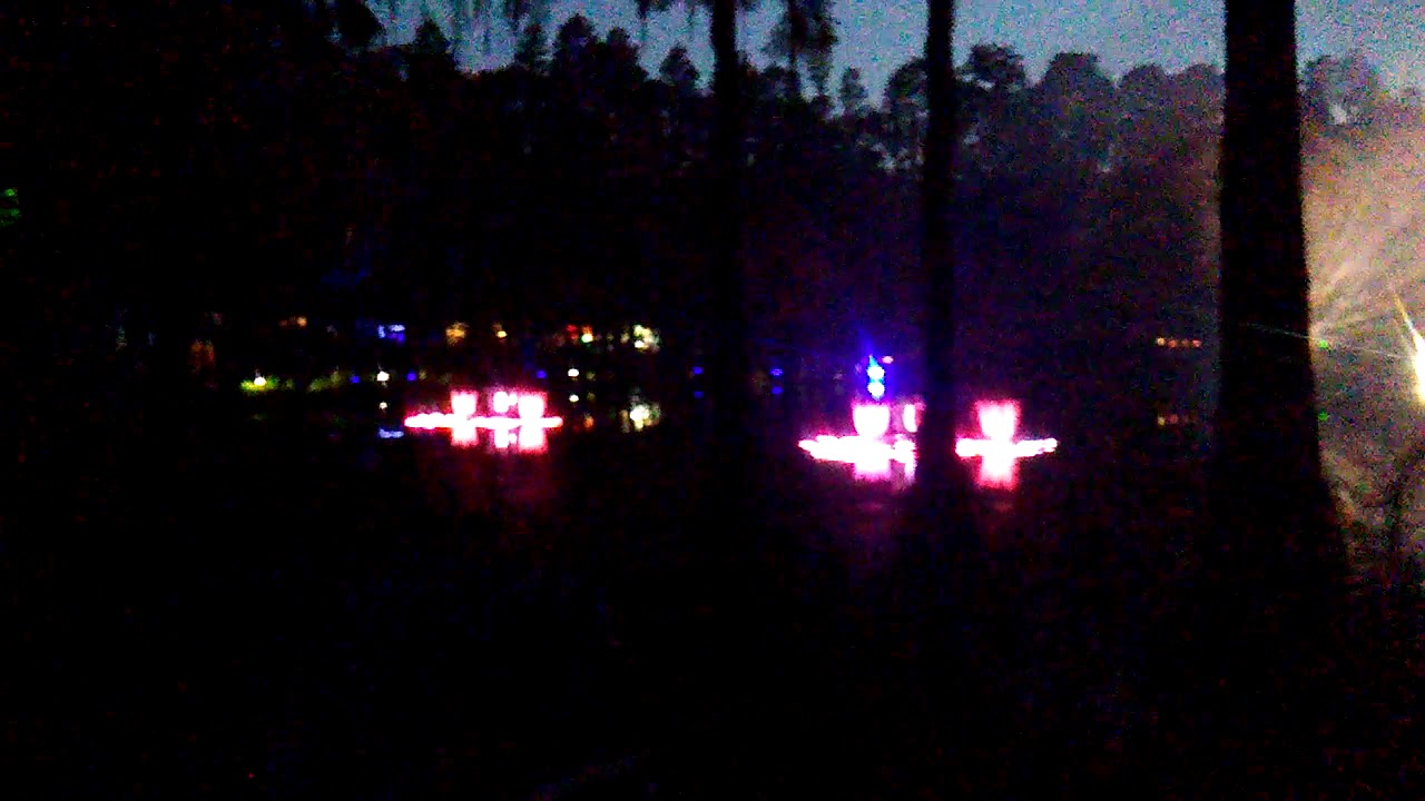 Suwannee lake live oak florida