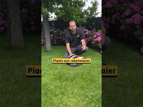 Tips voor je