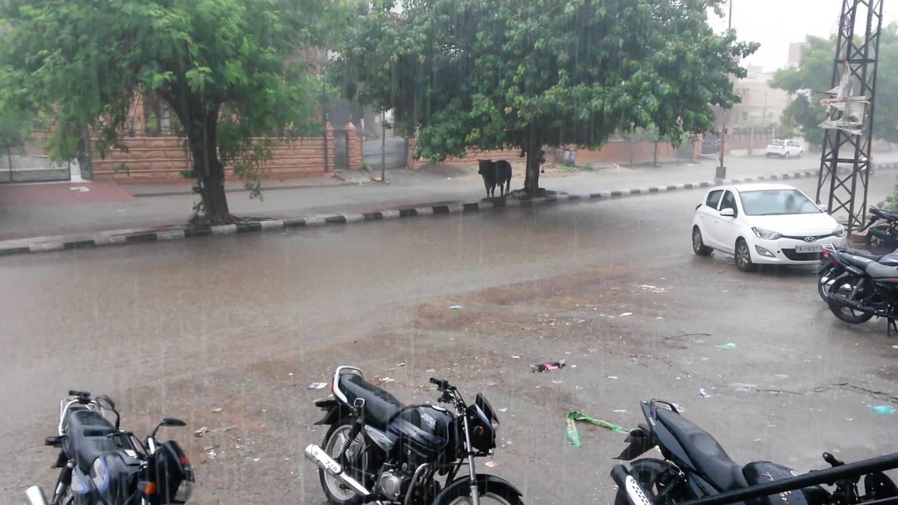 JODHPUR rainfall, rainfall in jodhpur, heavy rainfall, downpour