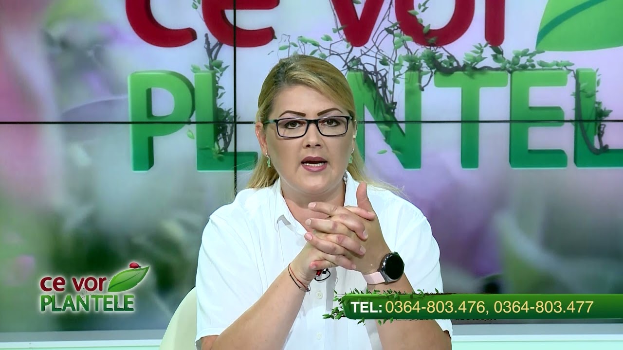 VIDEO Dr. Ing. Horia Ghibu - Cum stimulăm lăstarii de mur și zmeur să rodească 1 VIDEO Dr. Ing. Horia Ghibu - Cum stimulăm lăstarii de mur și zmeur să rodească YouTube player