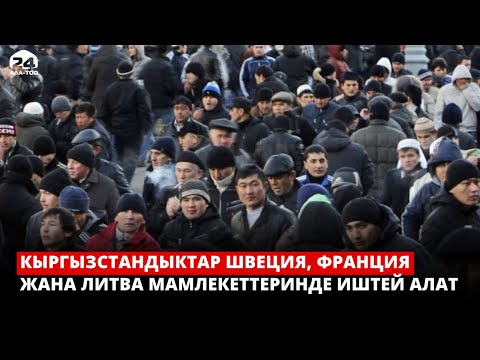 Video: Швеция үчүн виза талаптары