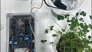 IoT-Based Automated Soil Moisture Monitoring and Irrigation System withReal-Time Notification