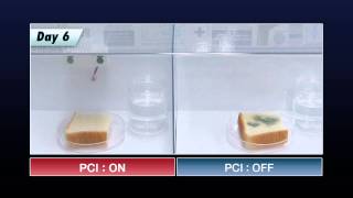 Demonstration of mold growth reduction