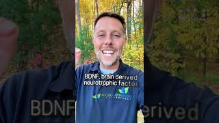 This Is Why Melatonin Matters For Brain Health