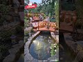 Building the Ultimate Backyard Koi Pond! 🐟 | Insane Transformation #satisfying #backyardmakeover