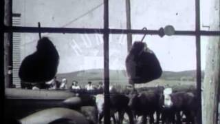 Canadian Army News, 1940's - Film 1613