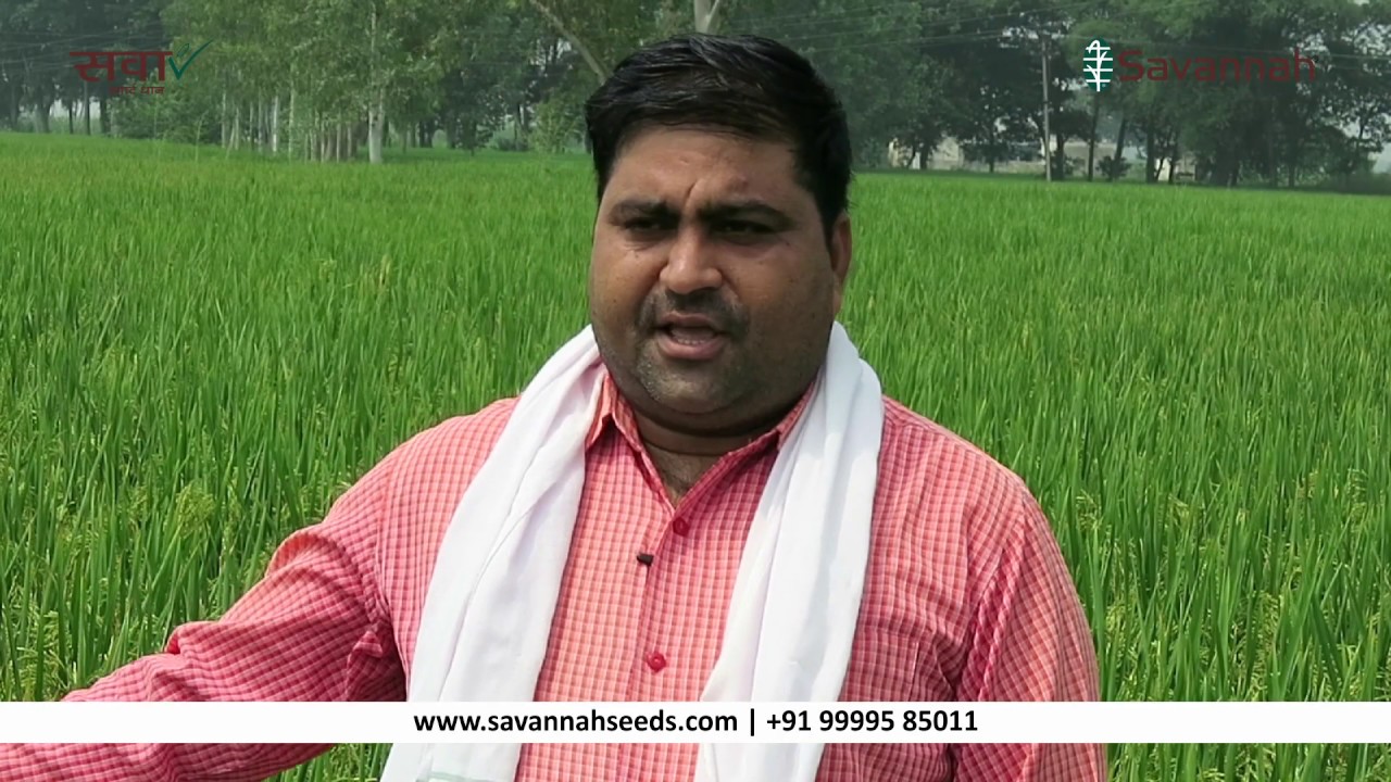 Haryana Farmer Testimonial | Sava Smart Rice 127 - YouTube