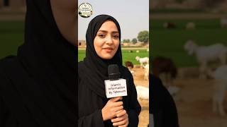 Islamic Quiz | Islamic questions answers | Islamic Information By Tabassum #islamicquiz