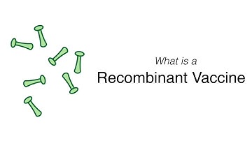What is a Recombinant Vaccine?