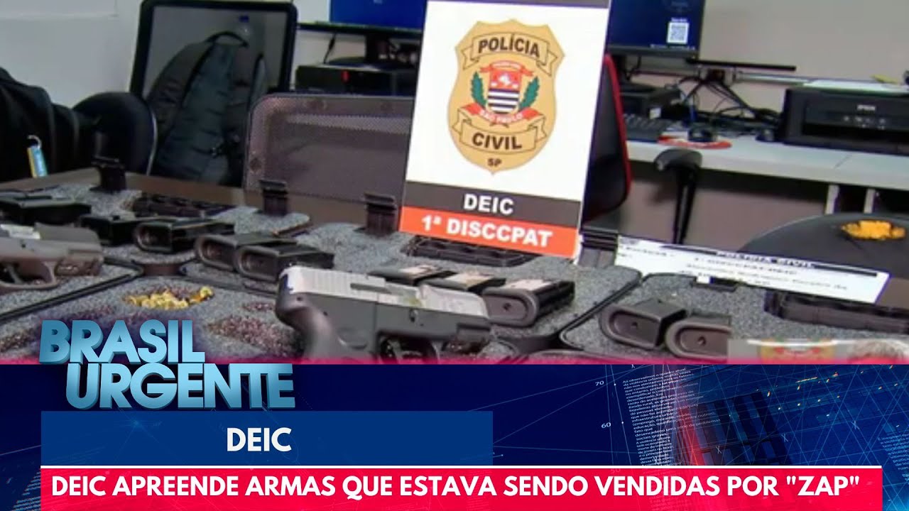 DEIC apreende armas que estava sendo vendidas por 